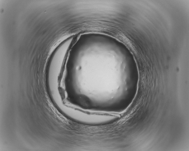 X0000087020787200704301313