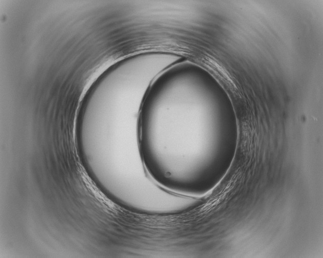 X0000087020788200704301313