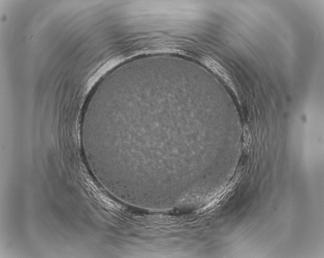 X0000087020789200704301313