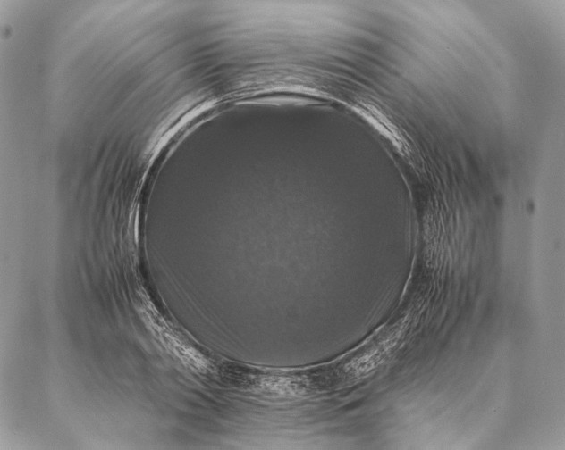 X0000087020790200704301313