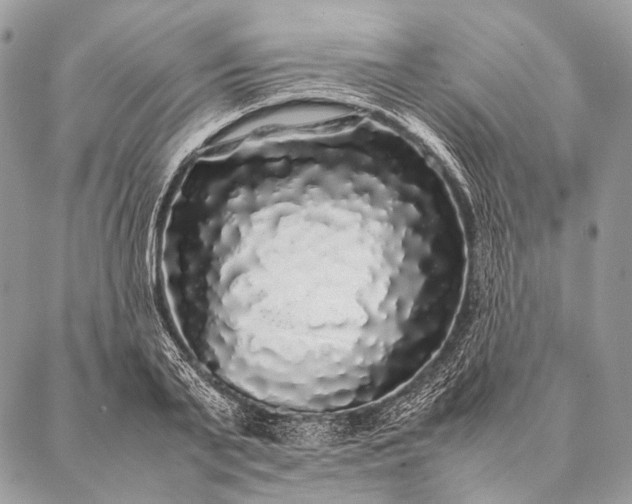 X0000087020791200704301313