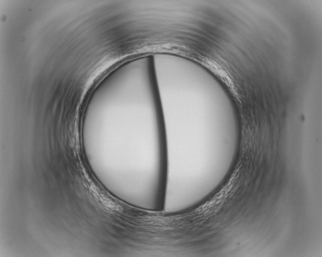 X0000087020792200704301313