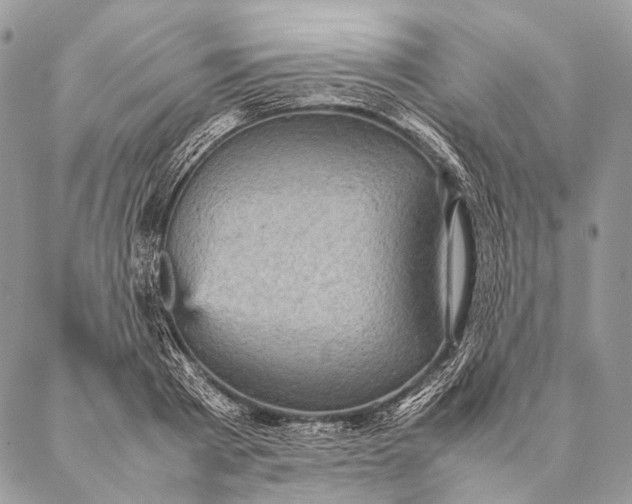 X0000087020793200704301313