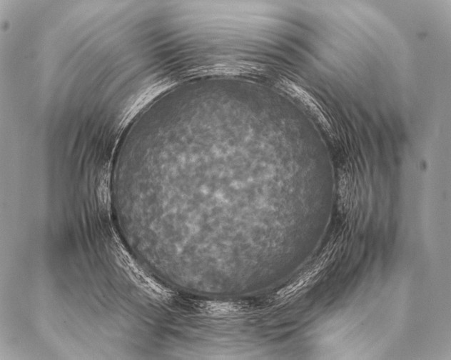 X0000087020794200704301313