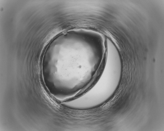 X0000087020795200704301313