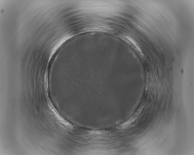 X0000087020796200704301313