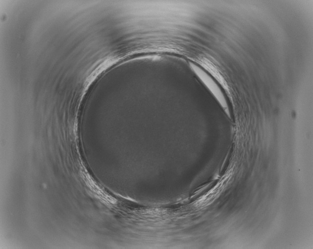 X0000087020797200704301313