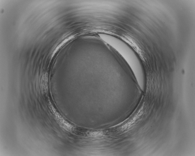 X0000087020798200704301313