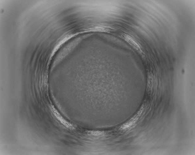 X0000087020800200704301313