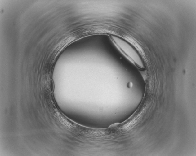 X0000087020801200704301313