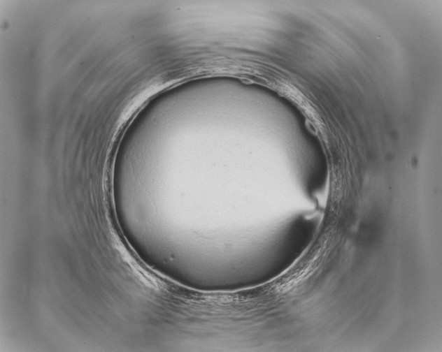 X0000087020803200704301313