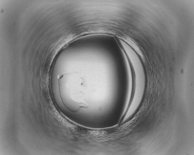 X0000087020805200704301313