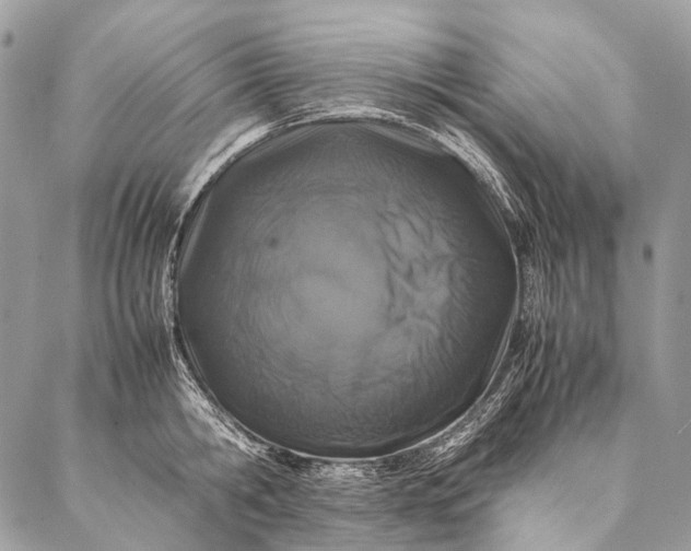 X0000087020806200704301313