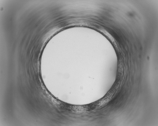 X0000087020807200704301313