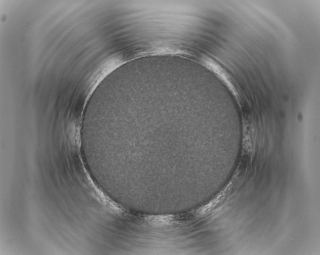 X0000087020810200704301313