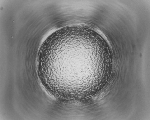 X0000087020811200704301313