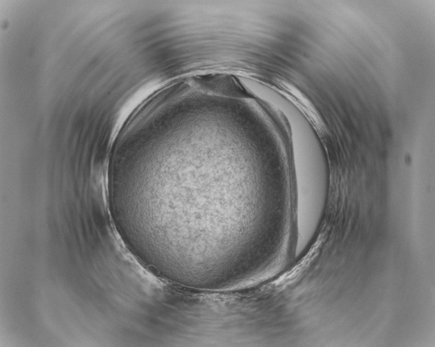 X0000087020812200704301313