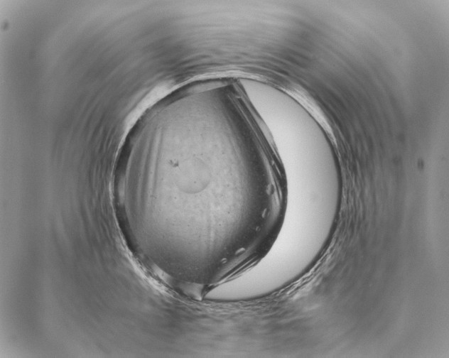 X0000087020813200704301313