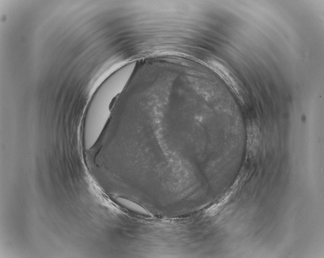 X0000087020814200704301312