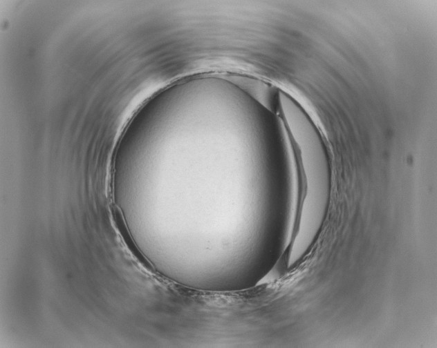 X0000087020815200704301312