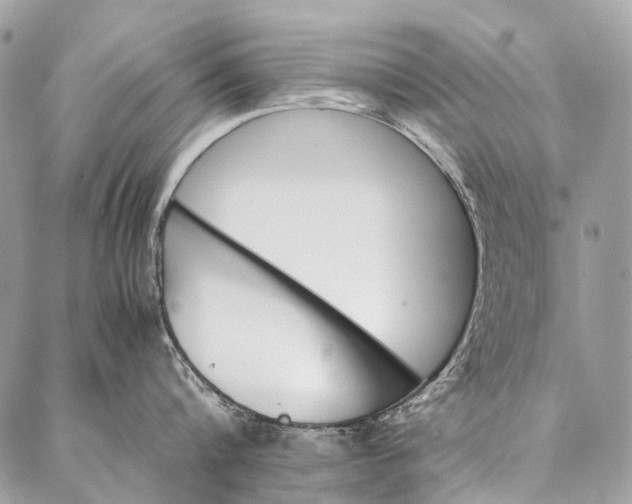 X0000087020816200704301312