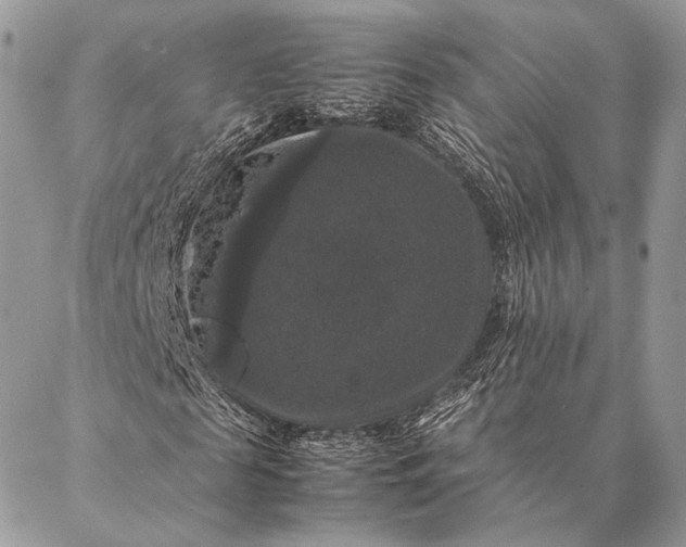 X0000087020817200704301312