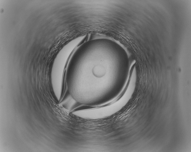 X0000087020818200704301312