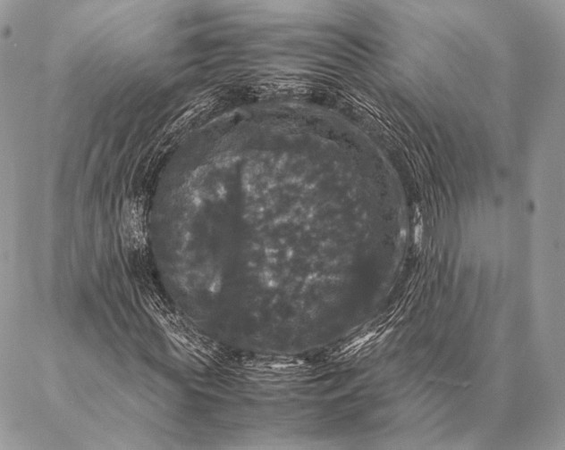 X0000087020819200704301312