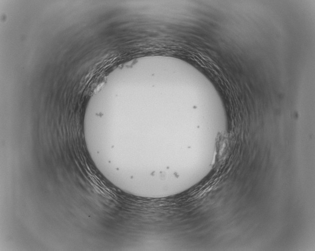 X0000087020820200704301312