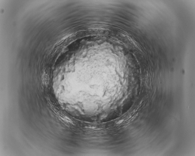 X0000087020821200704301312