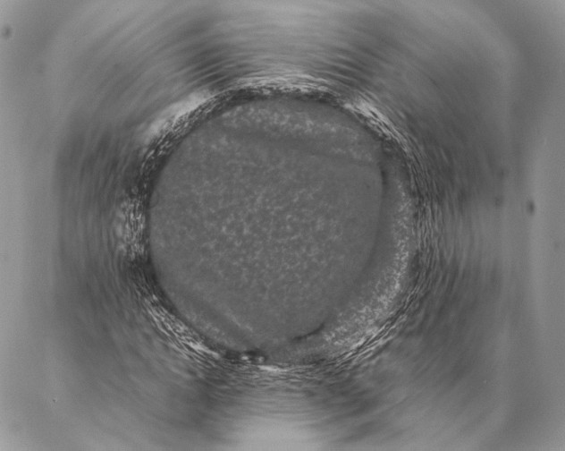 X0000087020822200704301312