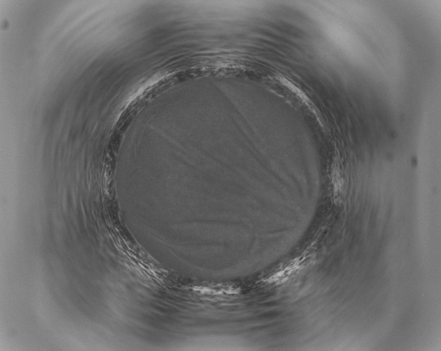 X0000087020823200704301312