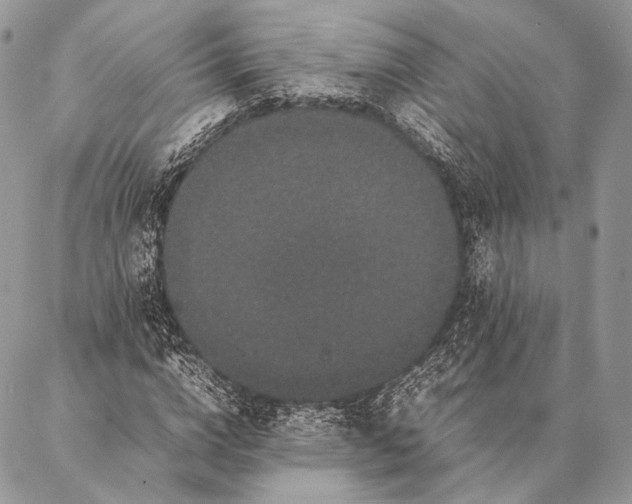 X0000087020824200704301312