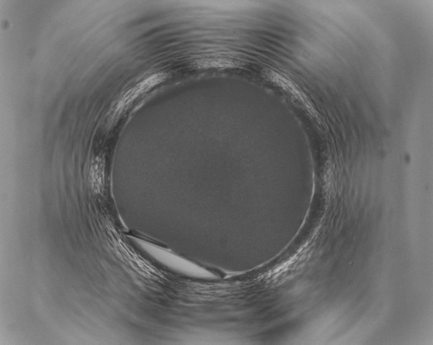 X0000087020825200704301312