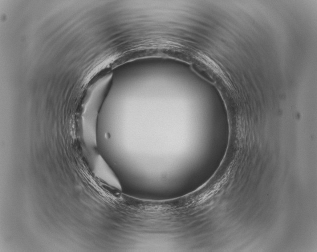 X0000087020826200704301312