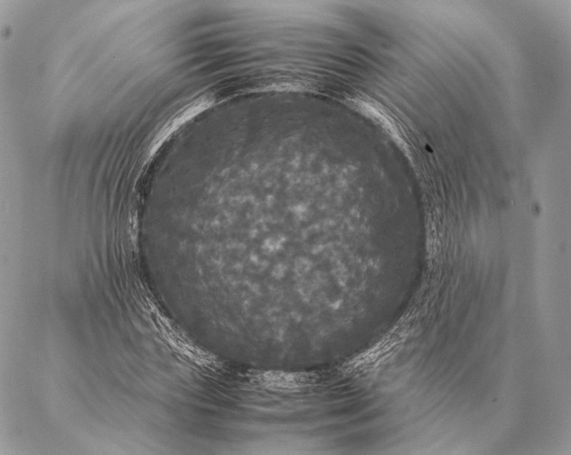 X0000087020827200704301312