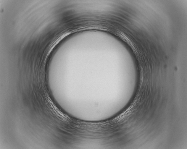 X0000087020828200704301312