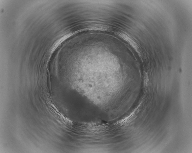 X0000087020829200704301312