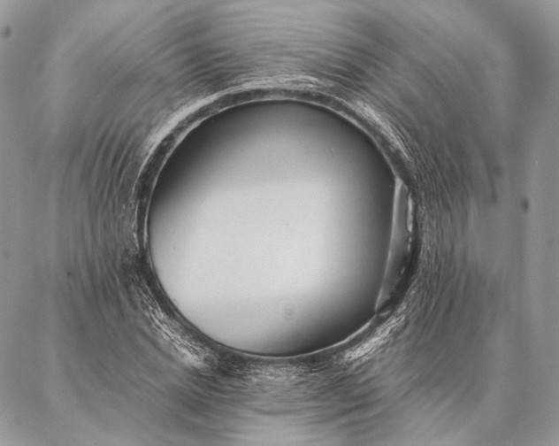 X0000087020830200704301312