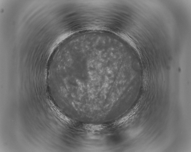 X0000087020831200704301312