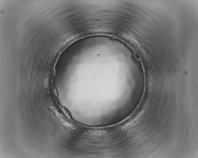 X0000087020833200704301312