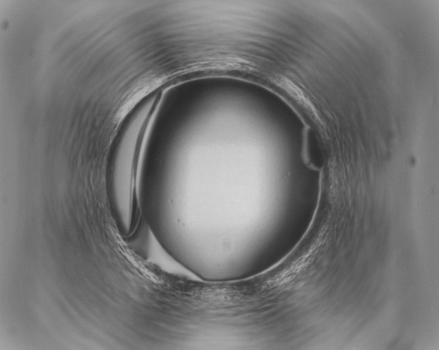 X0000087020834200704301312