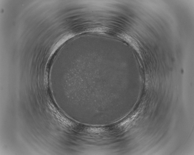 X0000087020835200704301312