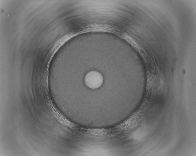 X0000087020836200704301312