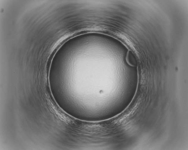 X0000087020837200704301312