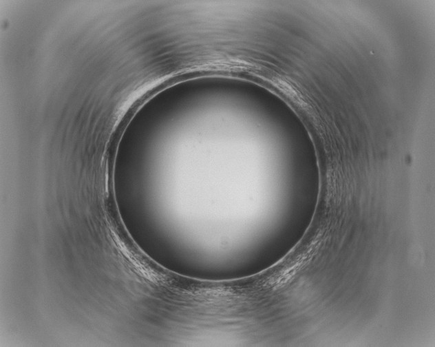 X0000087020838200704301312