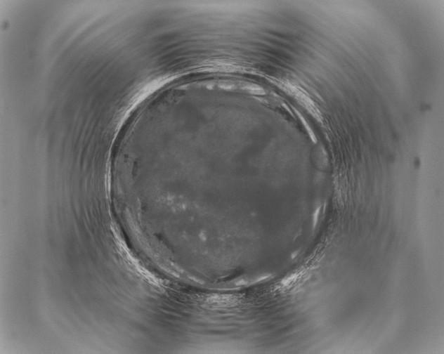 X0000087020839200704301312