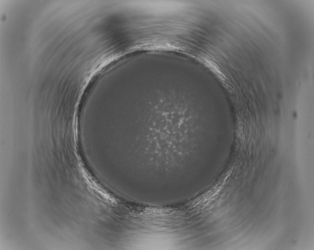 X0000087020840200704301312