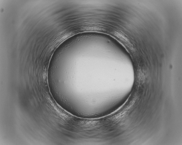 X0000087020841200704301312