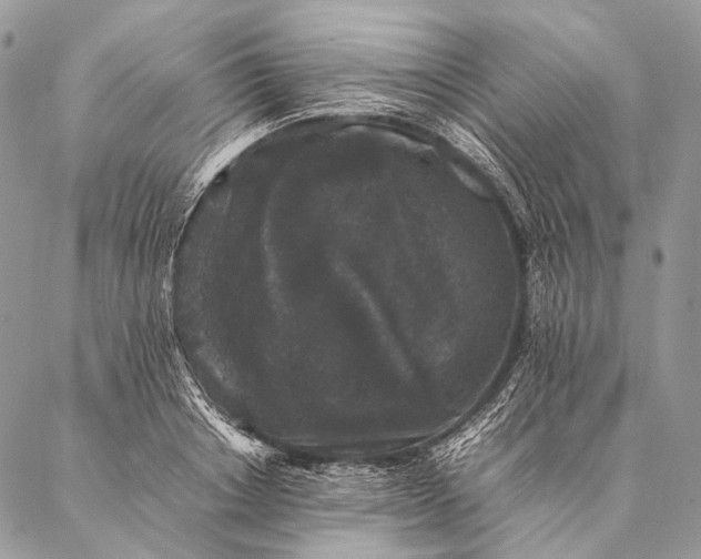 X0000087020842200704301312